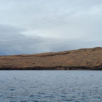 Malolo Charters - Molokini Crater - Snorkeling Near Me - Wailuku, Hawaii Malolo Charters - Molokini Crater - Snorkeling Near Me - Wailuku, Hawaii