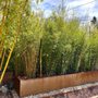 Photo of Bamboo Collective