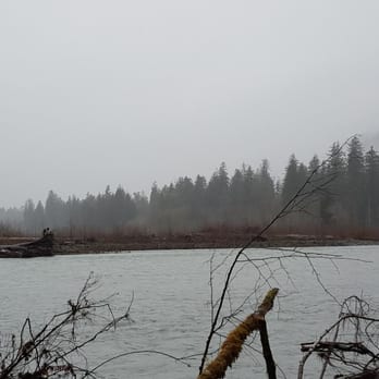 Hoh Rainforest - River that runs through the forest - Hiking Near Me - Forks, Washington