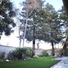 Love our new yard! Love our new yard!
