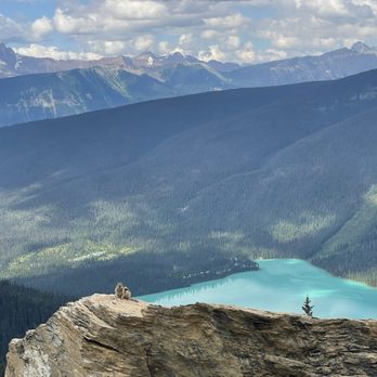 Yoho National Park - View on hike to Walcott quarry featuring a hungry ground squirrel. - Hiking Near Me - Field, British Columbia
