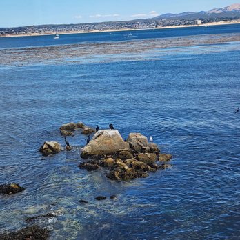 The Fish Hopper - View from our table - Seafood Near Me - Monterey, California The Fish Hopper - View from our table - Seafood Near Me - Monterey, California