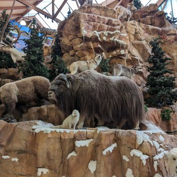 Bass Pro Shop - Outdoor Gear Near Me - Glendale, Arizona