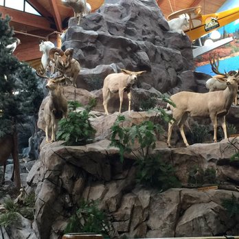 Cabela's - Mountain animals - Outdoor Gear Near Me - Triadelphia, West Virginia