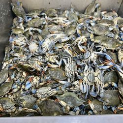 Viet Hua Food Market - Viet Hua has crabs
