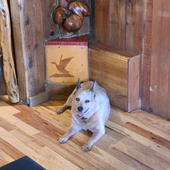 Million Dollar Cowboy Bar - Bars Near Me - Jackson, Wyoming