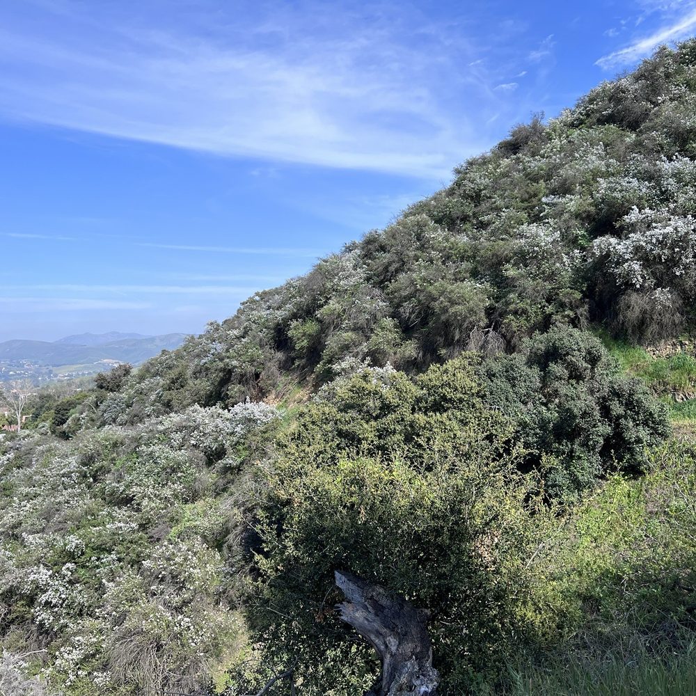Los Robles Trail - Hiking Near Me - Thousand Oaks, California Los Robles Trail - Hiking Near Me - Thousand Oaks, California