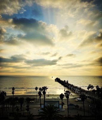 The Rooftop Bar by null