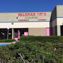 Palomar Toys - Wholesale Toys! The owner is very accomodating to all our questions and needs. Great service!