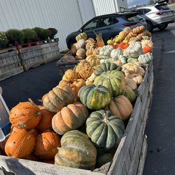 R & A Orchards