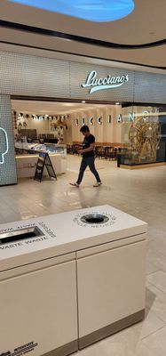 Lucciano's American Dream by null