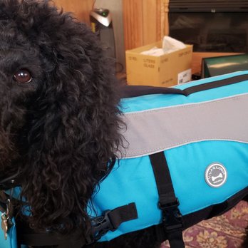 Cascade Marina - Ollie in Lifejacket - Boat Repair Near Me - Moses Lake, Washington