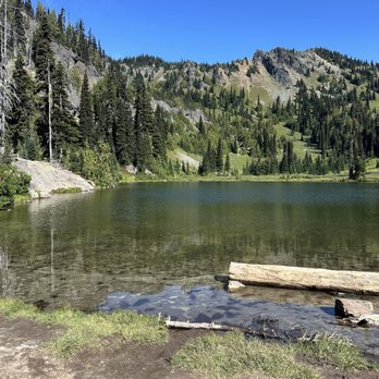 Mount Rainier National Park - Gorgeous! - Parks Near Me - Ashford, Washington Mount Rainier National Park - Gorgeous! - Parks Near Me - Ashford, Washington
