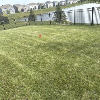 Weiss Lawn Care - Back yard - Pest Control Near Me - Carol Stream, Illinois Weiss Lawn Care - Back yard - Pest Control Near Me - Carol Stream, Illinois