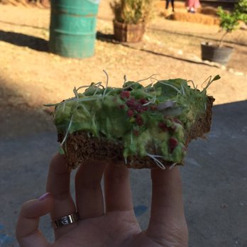 The Trails - Avocado sandwich! - Cafes Near Me - Los Angeles, California The Trails - Avocado sandwich! - Cafes Near Me - Los Angeles, California