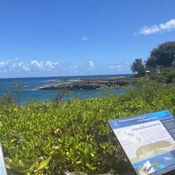 Shark's Cove - 8-3-22 - Beaches Near Me - Haleiwa, Hawaii Shark's Cove - 8-3-22 - Beaches Near Me - Haleiwa, Hawaii