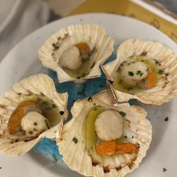 Ai-Do Fogheri - Scallops