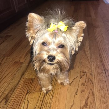 Wags to Whiskers - Pet Stores Near Me - Plainfield, Illinois Wags to Whiskers - Pet Stores Near Me - Plainfield, Illinois