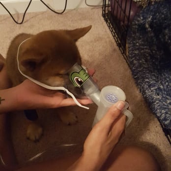 The Pet Warehouse - Pet Stores Near Me - Jacksonville, North Carolina