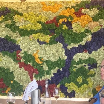 Primal By Mia - The living wall- very cool. - Seafood Near Me - Cape May, New Jersey Primal By Mia - The living wall- very cool. - Seafood Near Me - Cape May, New Jersey