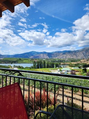 Tipsy Canyon Winery by null