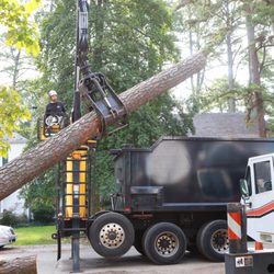 McCormick Tree Care
