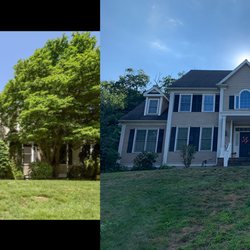Green Trees Arborcare - Before and after
