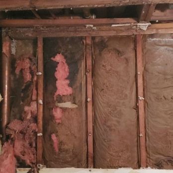 Utopia Restoration - Mold behind drywall on insulation facing and the back of the drywall. - Damage Restoration Near Me