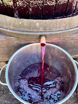 Charter Oak Winery by null