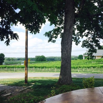 Dennis Vineyards - Wineries Near Me - Albemarle, North Carolina