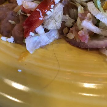 Salsa Brava - Tasty Hair in The Chicken Tacos - Mexican Near Me - Flagstaff, Arizona