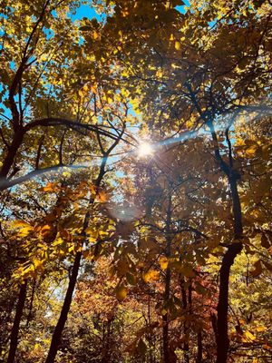 Sugarloaf Mountain by null