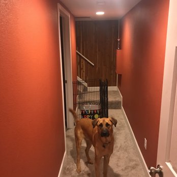 RTP Construction - We kept the original wood paneling in stairs. Dog not allowed in new room. - General Contractors Near Me - Castle Rock, Colorado RTP Construction - We kept the original wood paneling in stairs. Dog not allowed in new room. - General Contractors Near Me - Castle Rock, Colorado