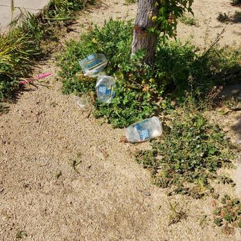 Dutch Bros Coffee - Dutch Bros litter - Juice Bars & Smoothies Near Me - Sacramento, California Dutch Bros Coffee - Dutch Bros litter - Juice Bars & Smoothies Near Me - Sacramento, California