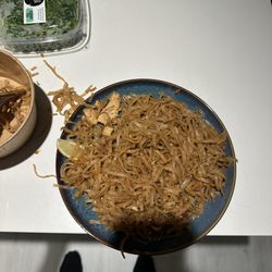 Koh Samui's "chicken" pad Thai has literally 1 bite of chicken.