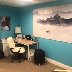 BalanSense-Therapy - BalanSense-Therapy, LLC practice space 2