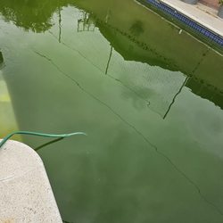 Aquaman Pool and Spa Services