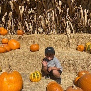 Queens Pumpkin Patch - Pumpkin Patches Near Me - Saratoga, California