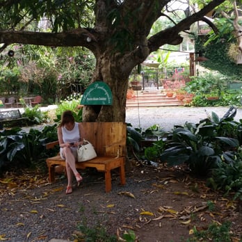 Antojitos Puertorriquenos - Beautiful garden... - Breakfast & Brunch Near Me - Rio Grande, Puerto Rico Antojitos Puertorriquenos - Beautiful garden... - Breakfast & Brunch Near Me - Rio Grande, Puerto Rico