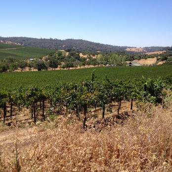 Four Winds Cellars - View of the tasting room from the top of the hill - Wineries Near Me - Murphys, California