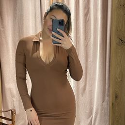 Brown collar bodycon dress