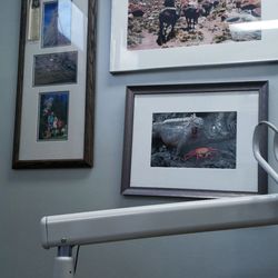 Charlottesville Dental Health Partners