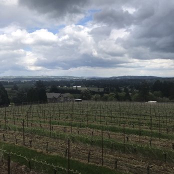 Raptor Ridge Winery - Wineries Near Me - Newberg, Oregon Raptor Ridge Winery - Wineries Near Me - Newberg, Oregon