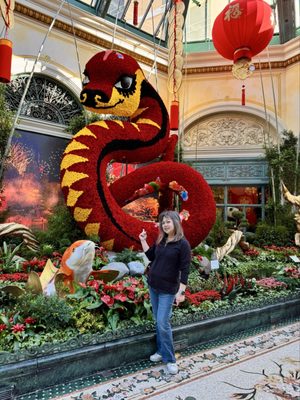 Bellagio Conservatory & Botanical Gardens by null