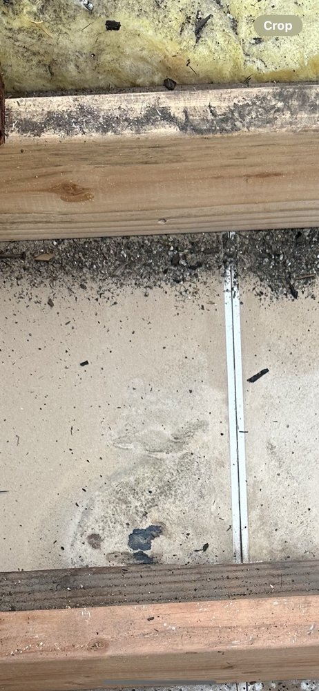 Ambient Enviormental - mold inspector in Anaheim, CA