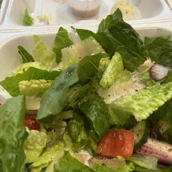 Al Shish Kabob - Huge salad, dressing is perfect!