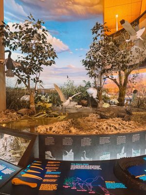 Ernest F. Coe Visitor Center by null