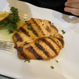 Salmon