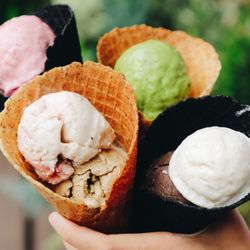 Toad Hop Creamery