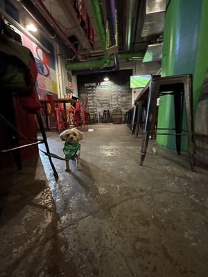 Departed Soles Brewing Company by null